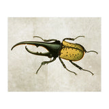 83 (Print Only) thumbnail
