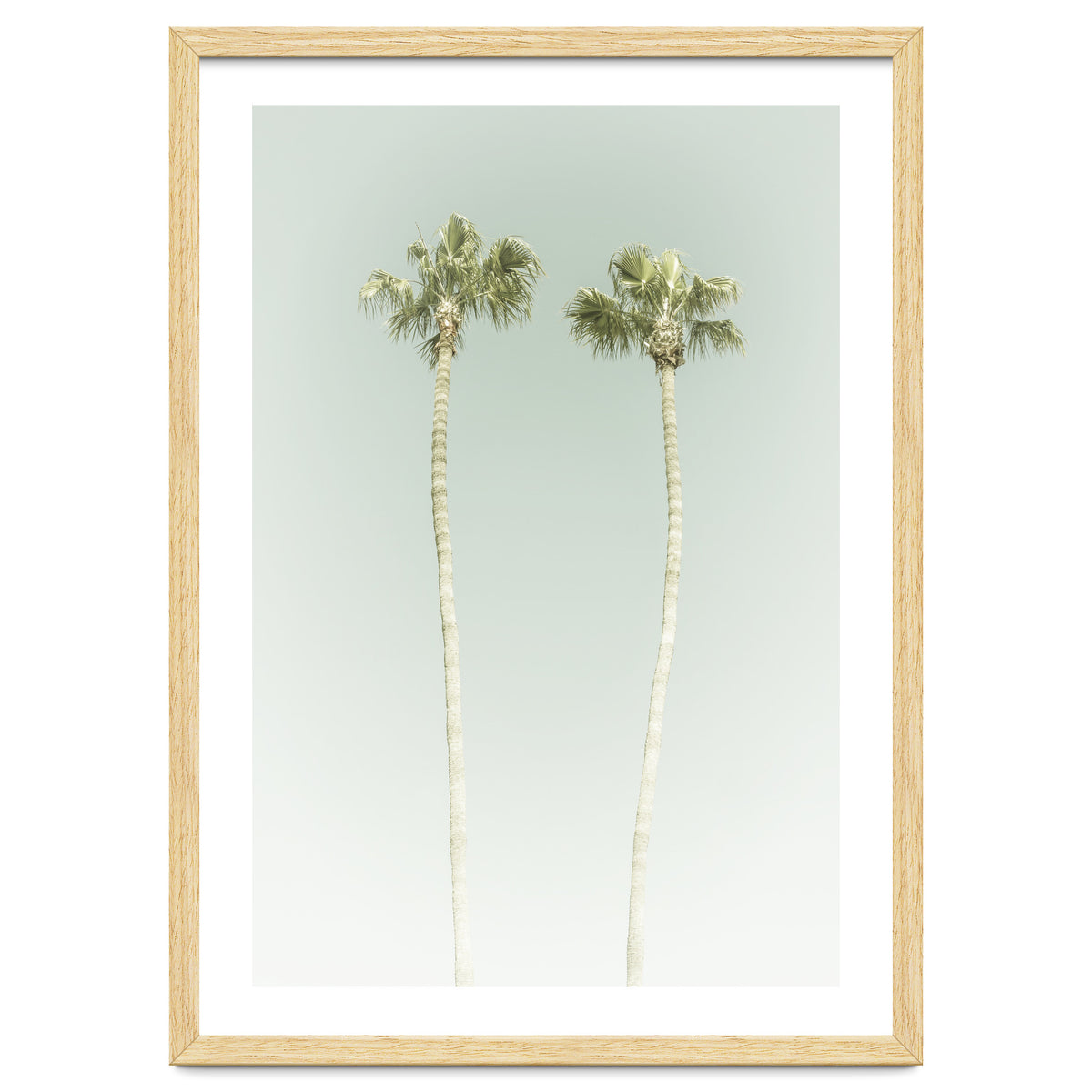 Vintage Palm Trees