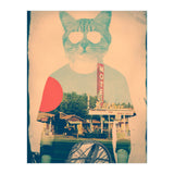 Cool Cat (Print Only) thumbnail