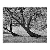 Bend over (Print Only) thumbnail