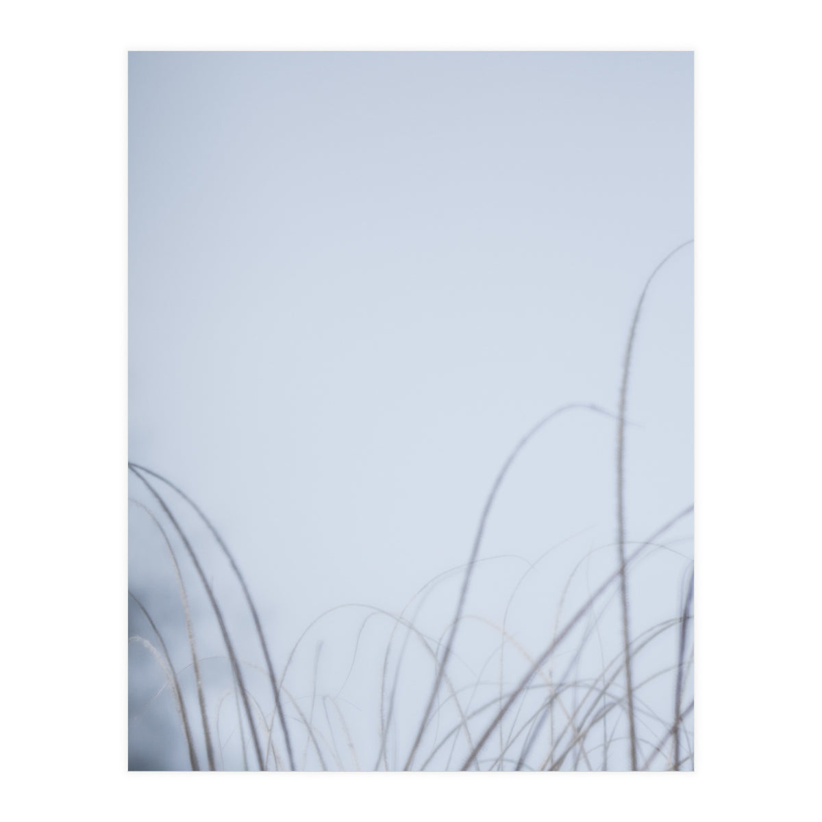 Forgotten Memories of Summer #20 (Print Only)