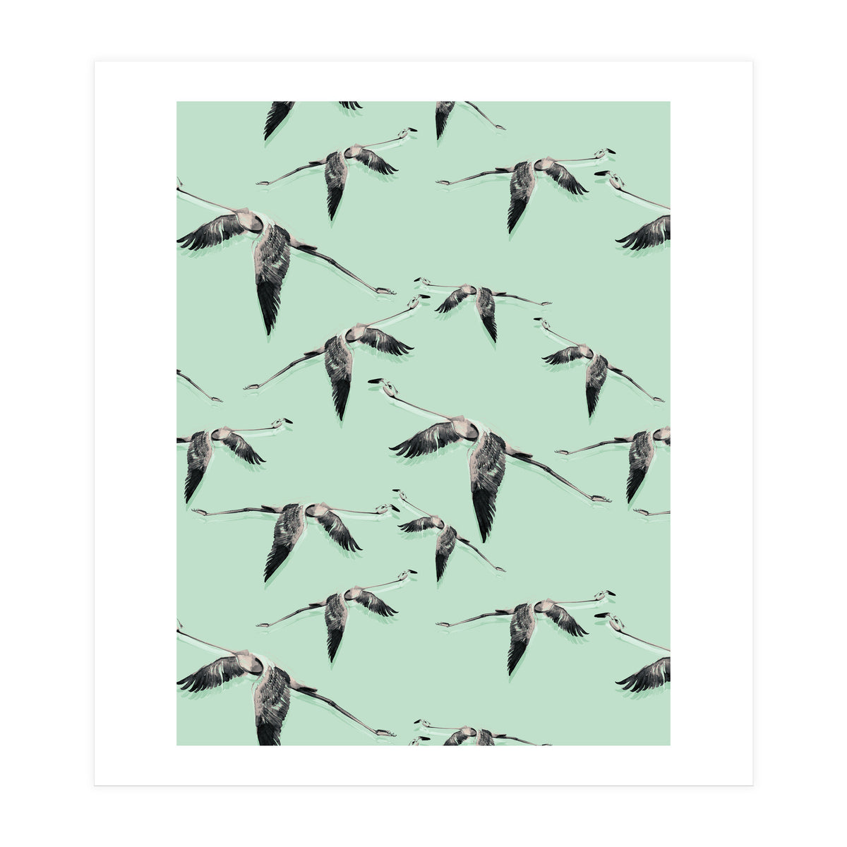 Flight of flamingos (Print Only)