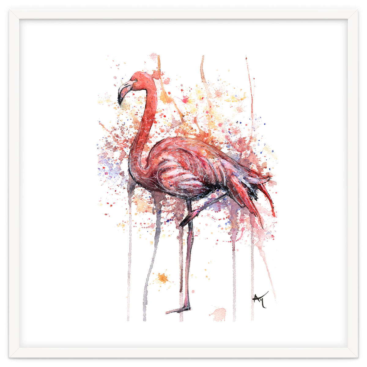 Flamingo - Wildlife Collection