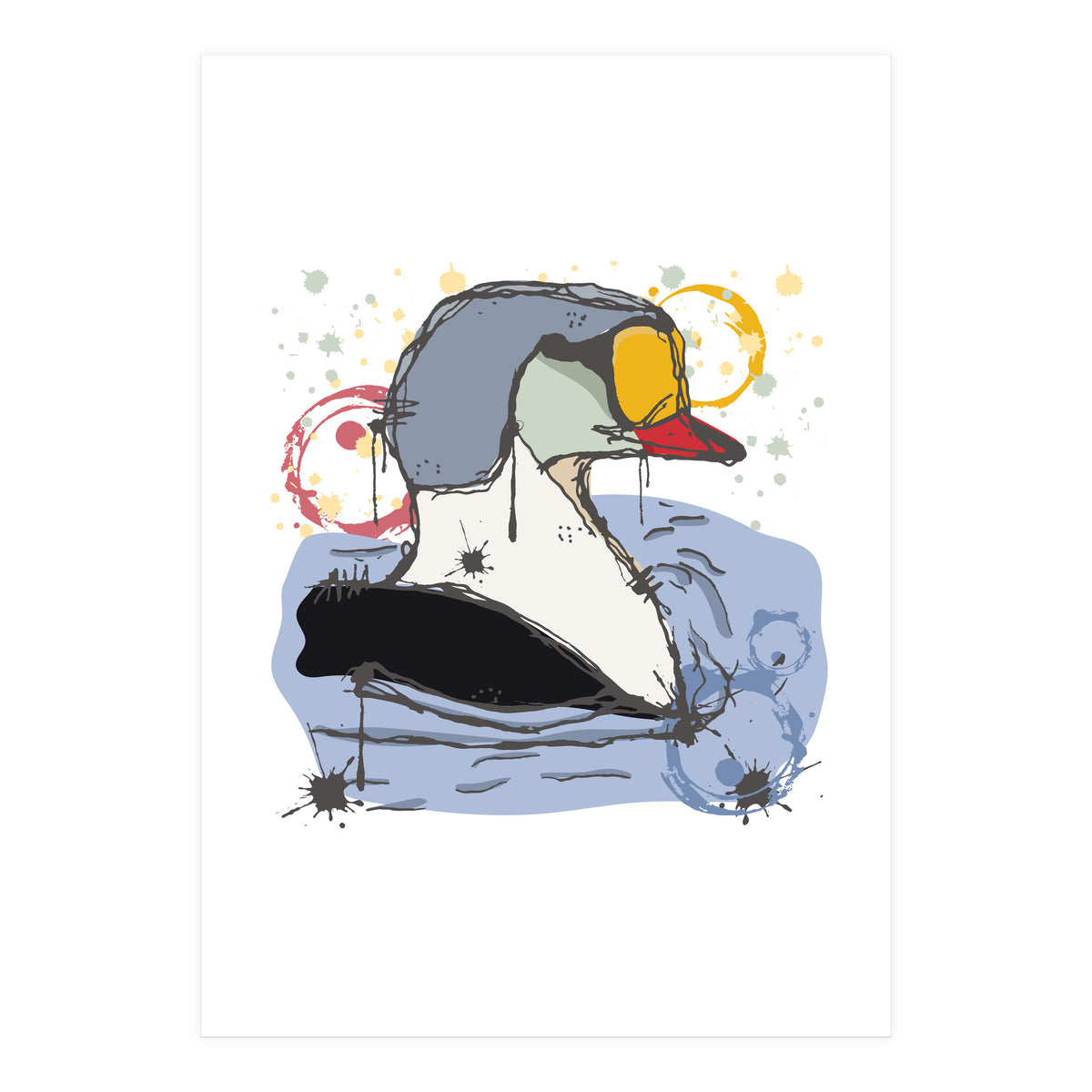 Male King Eider Duck Sketch (Print Only)