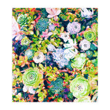 Watercolor Succulents (Print Only) thumbnail