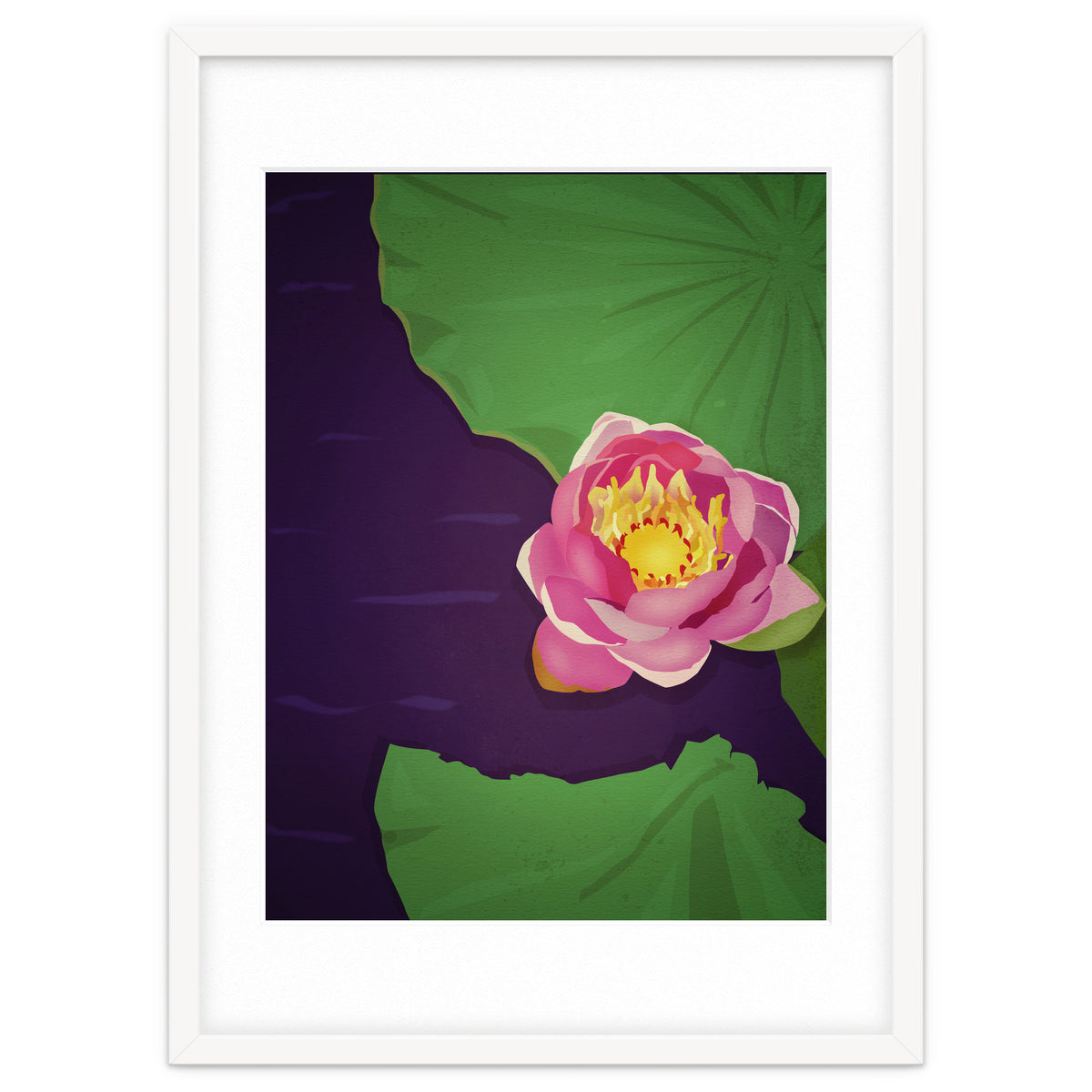 Water lily