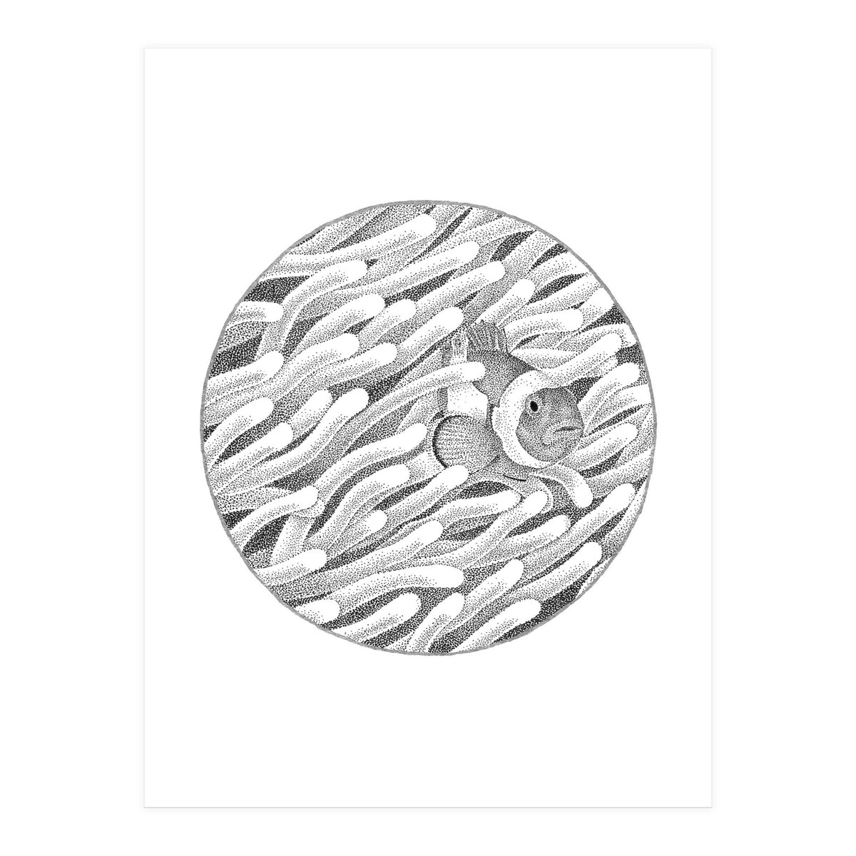 P.O. Underwater Gardens (Print Only)