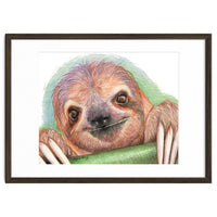 Smiling Sloth