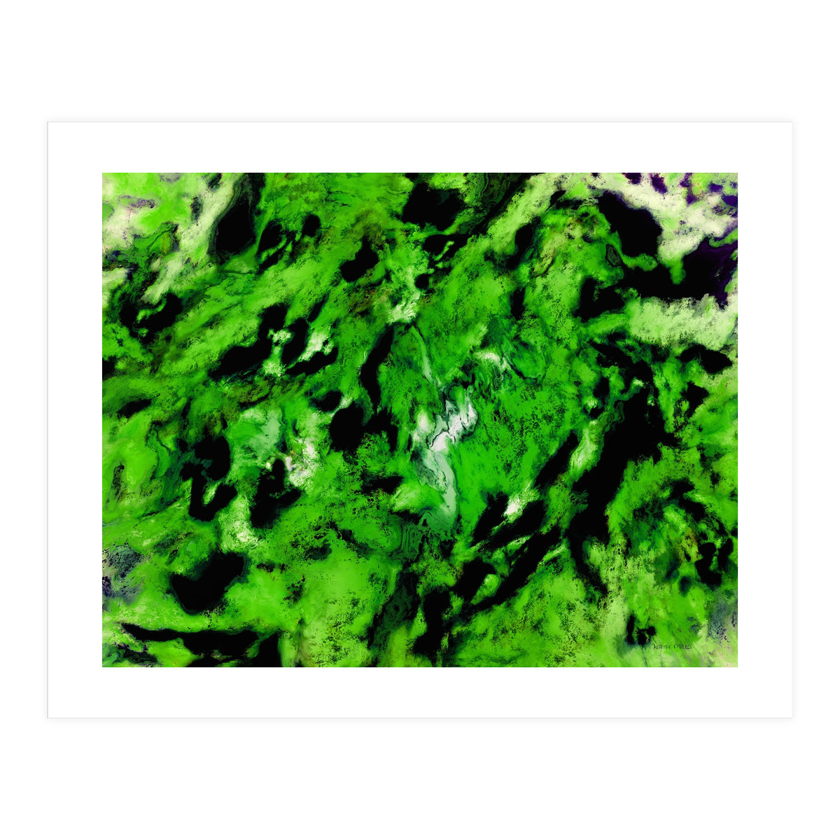 More Distinguishing Marks (Print Only)