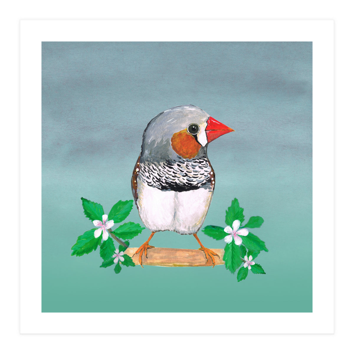 Zebra finch (Print Only)