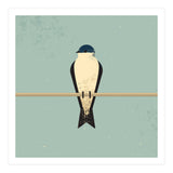 Swallow (Print Only) thumbnail