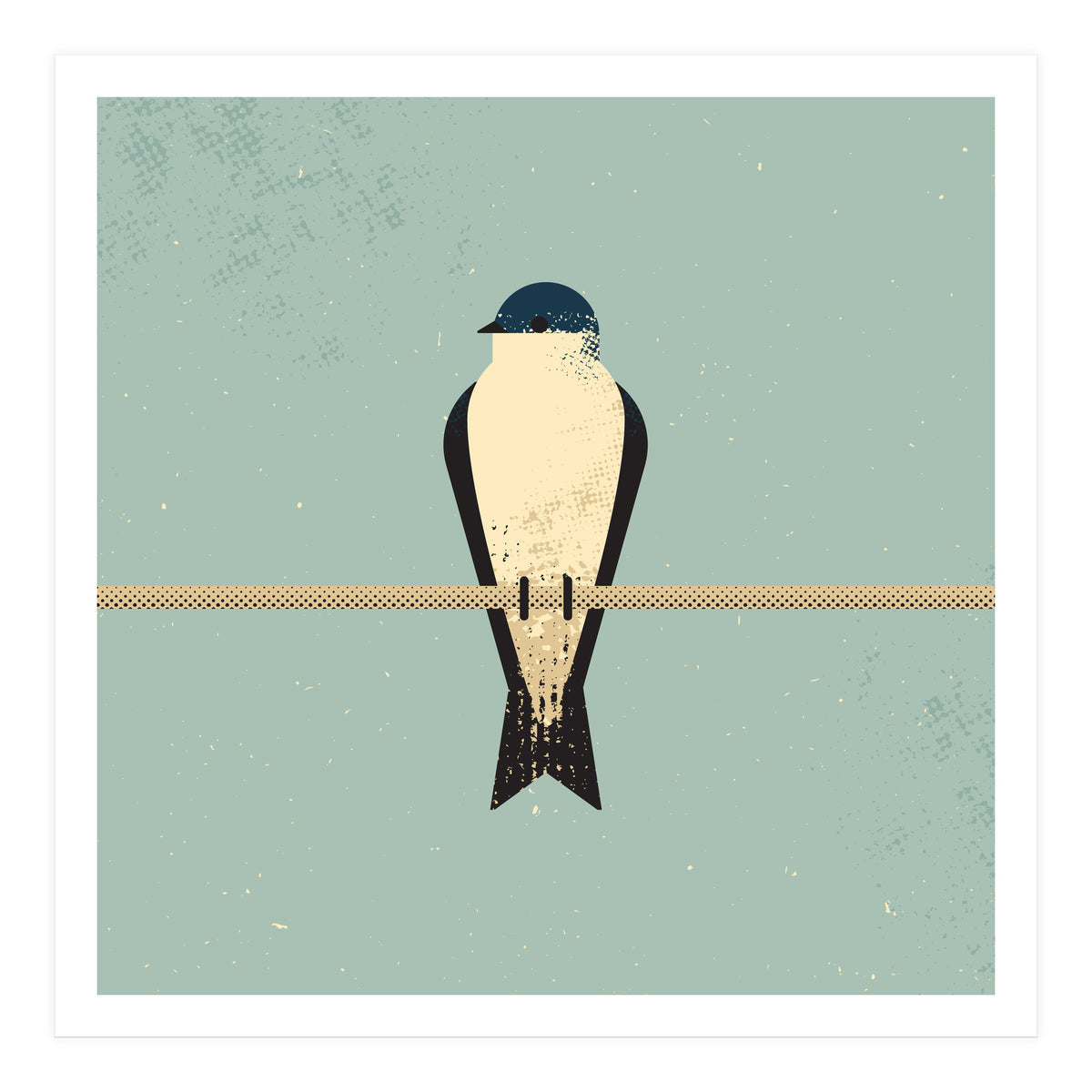 Swallow (Print Only)