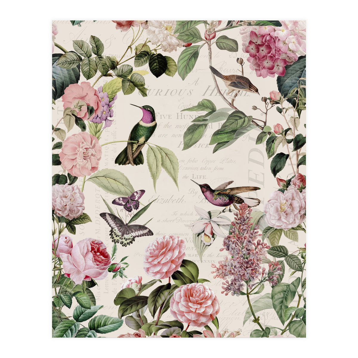 Hummingbirds And Roses (Print Only)