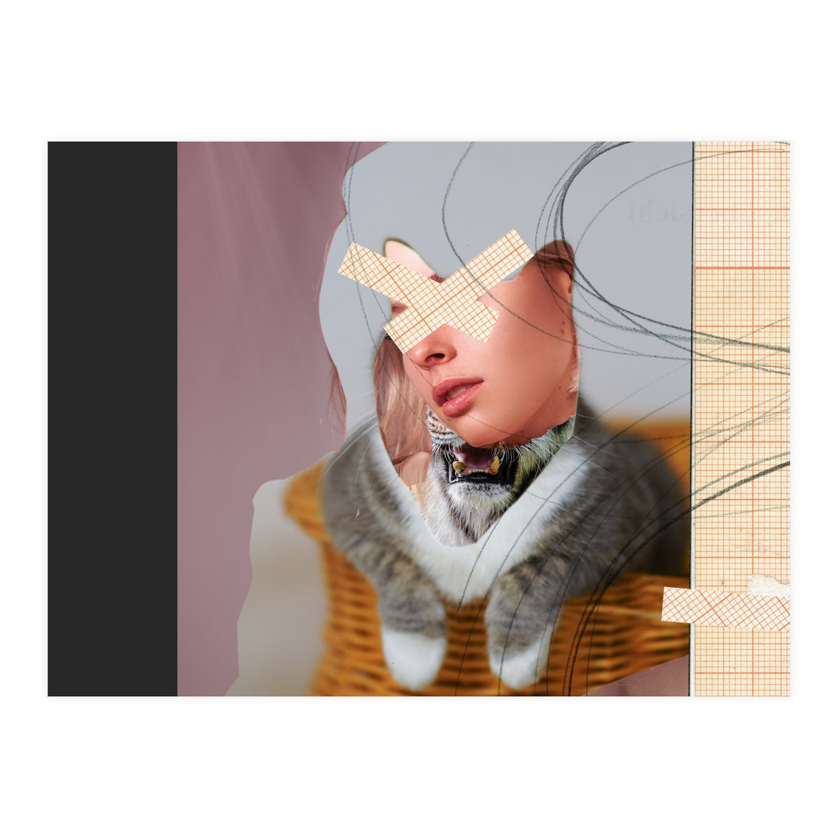 Miss Cat (Print Only)