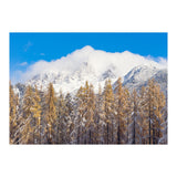 Cloudy Crown (Print Only) thumbnail