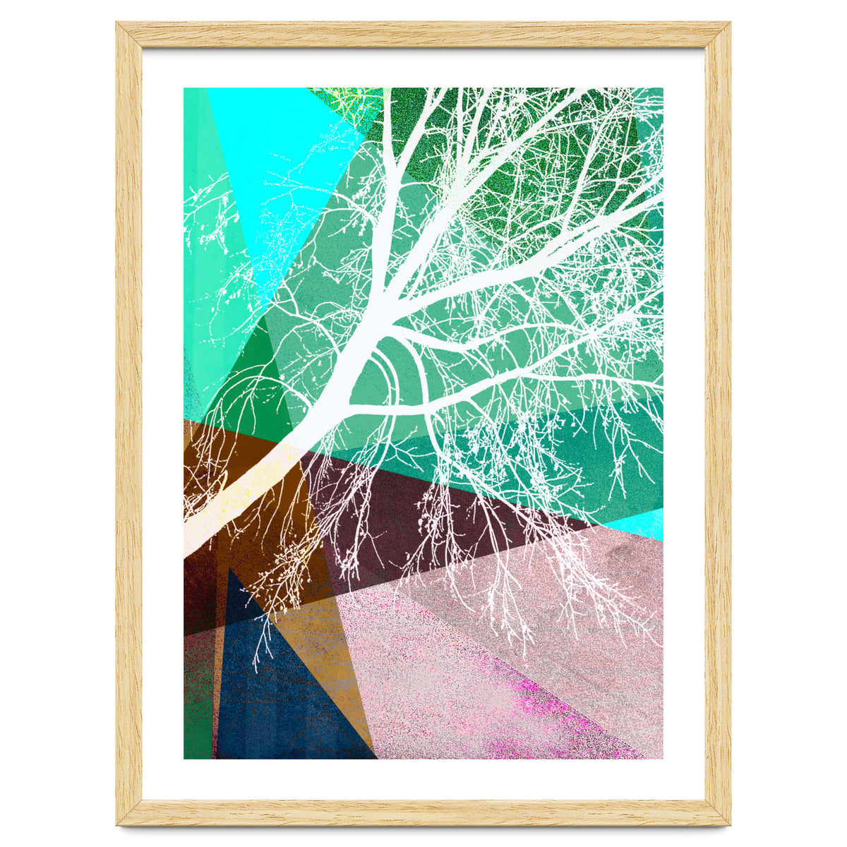 P16-H Trees And Triangles