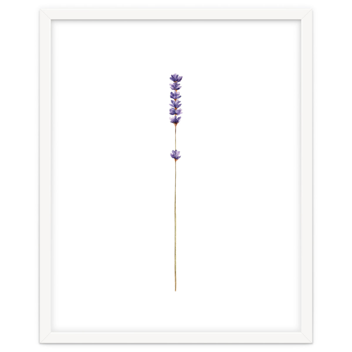 Lavender twig