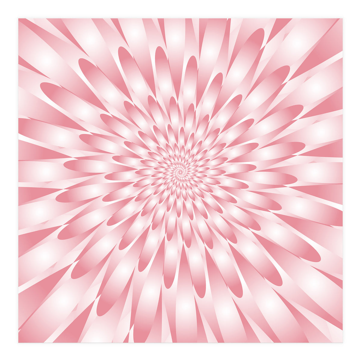 Spiral Pink Flower  (Print Only)