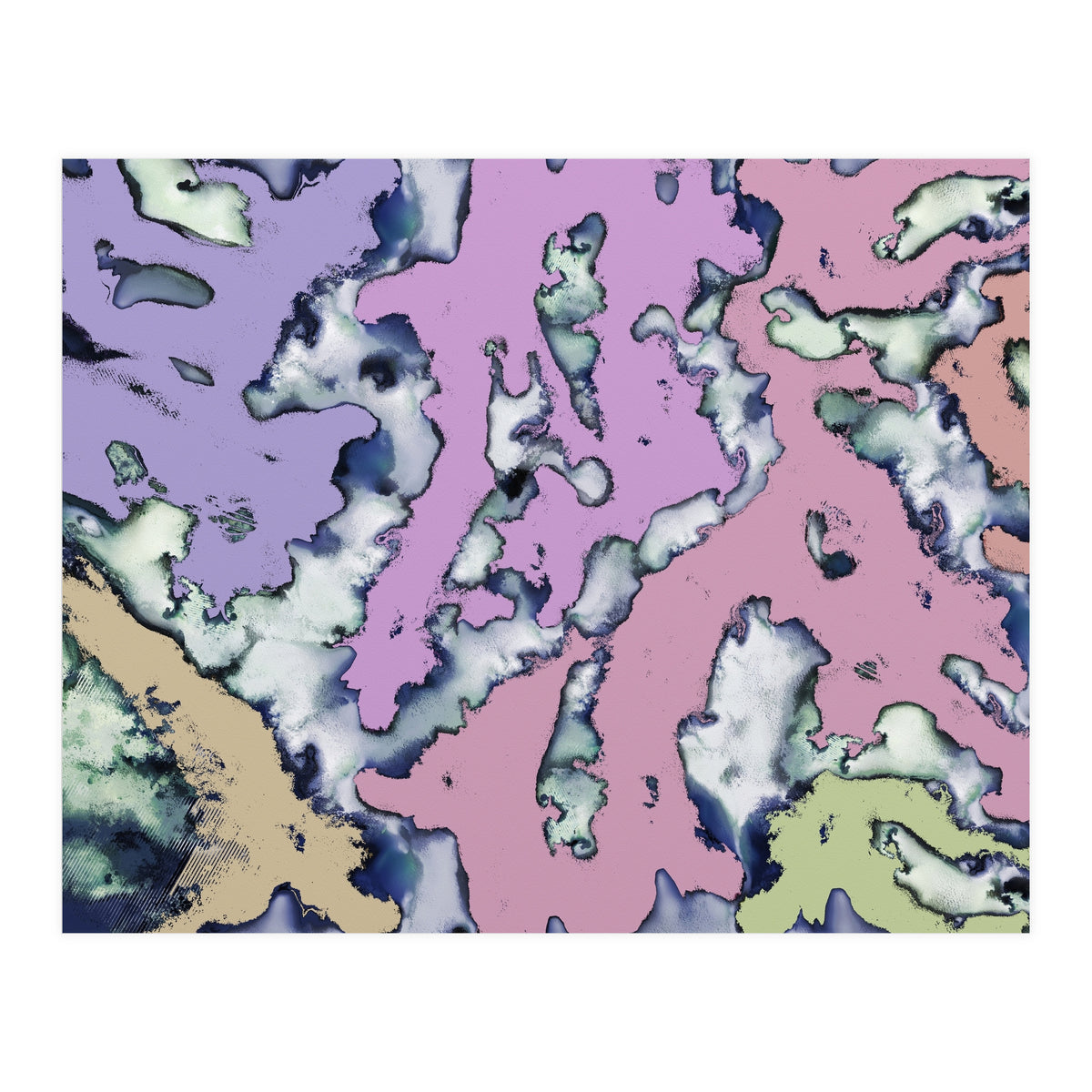 A Soft Choice (Print Only)