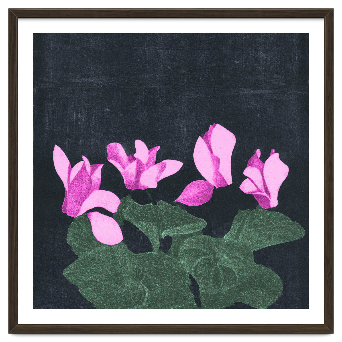 Cyclamen
