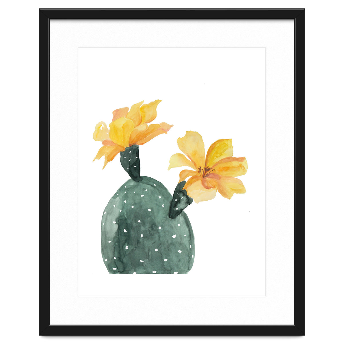 Botanical Illustration Yellow Cactus Flowers