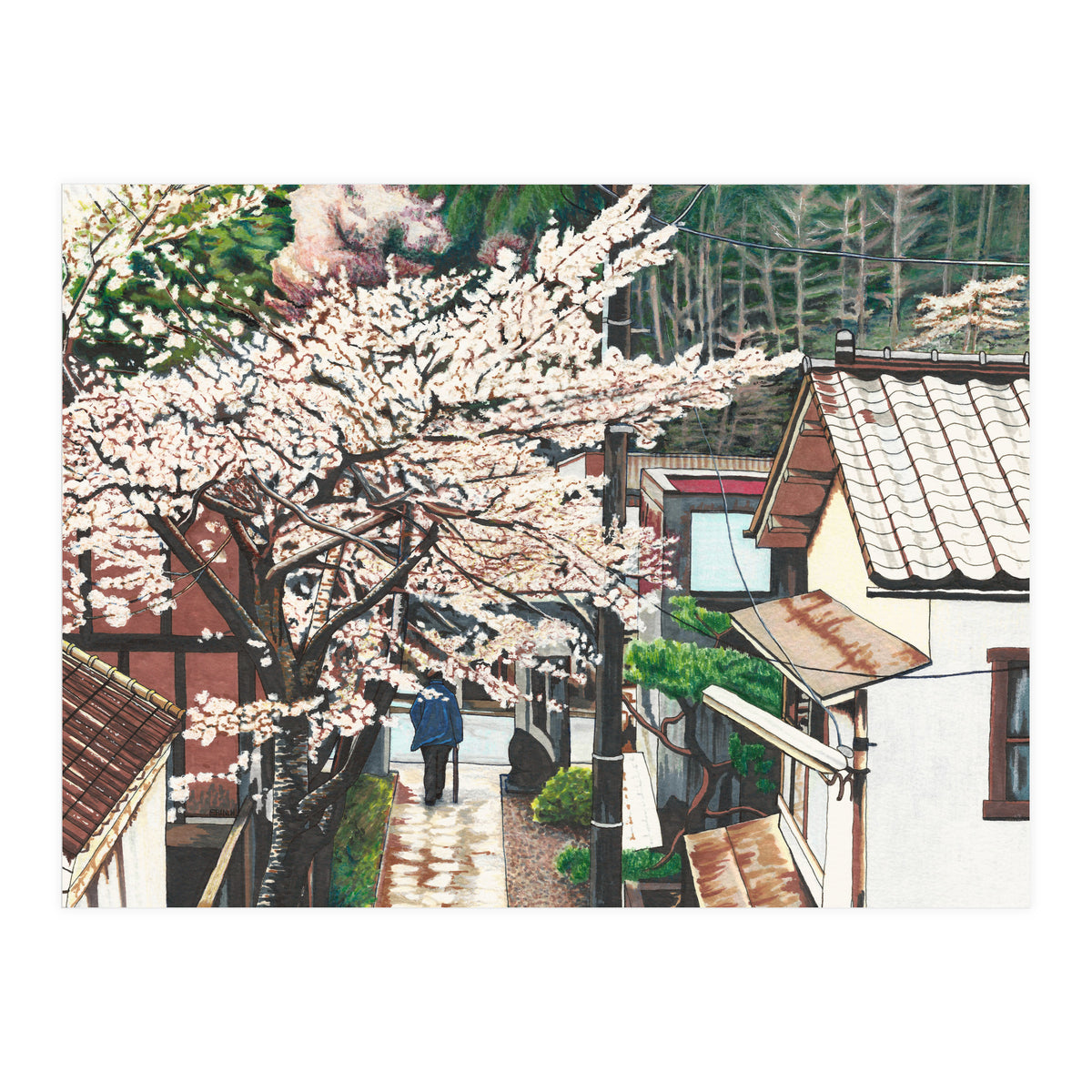 Passing by Cherry Blossoms (Print Only)