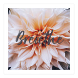 Breathe  (Print Only) thumbnail