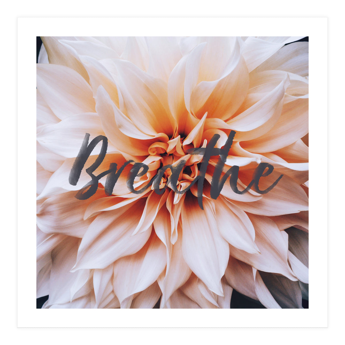 Breathe  (Print Only)