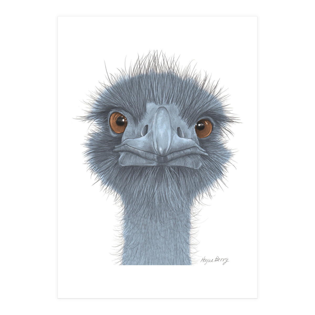 The Blue Emu (Print Only)