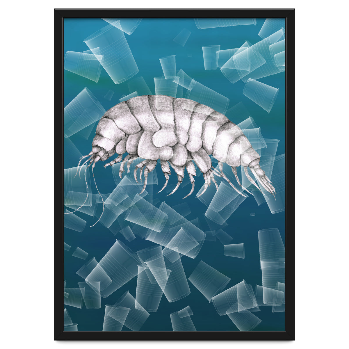 Eurythenes Plasticus