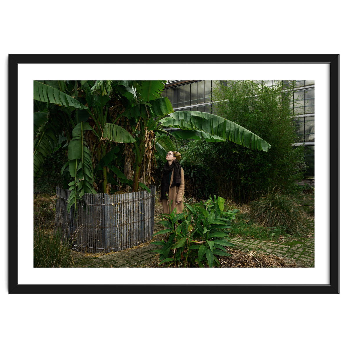 Transition from Summer to Winter