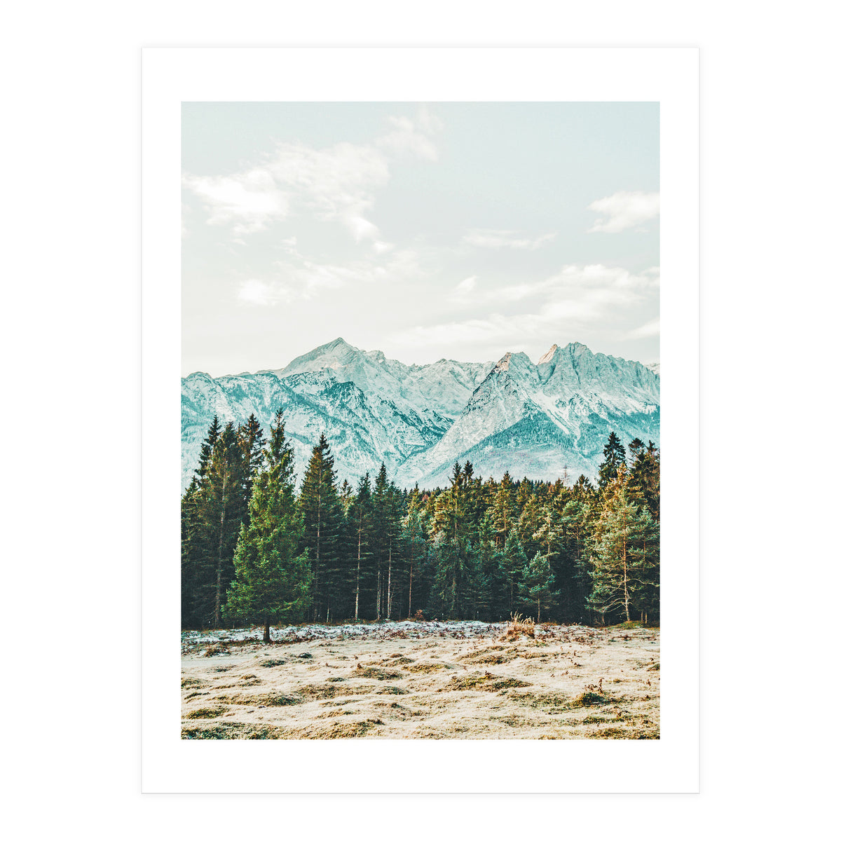 Winter Weather (Print Only)