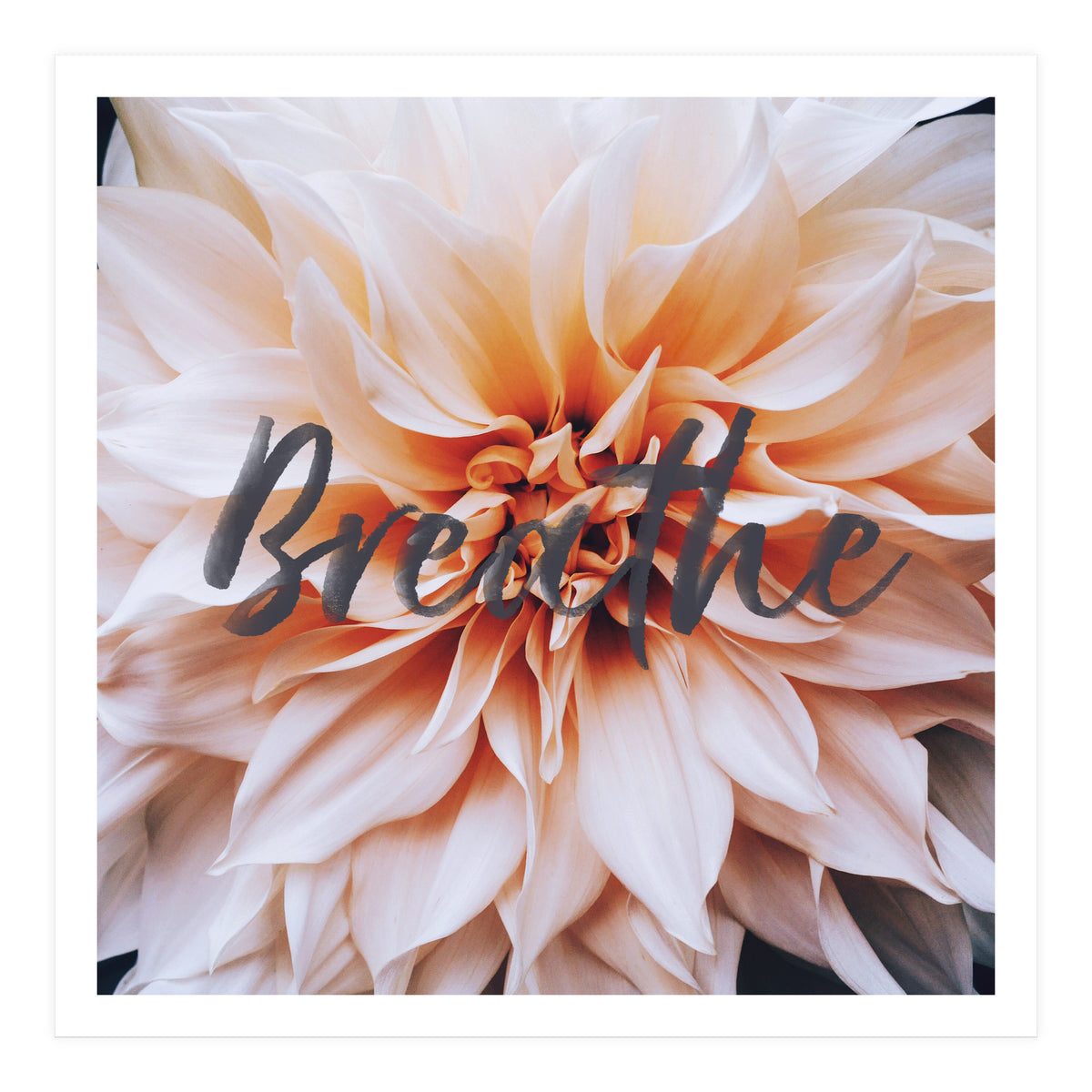 Breathe  (Print Only)