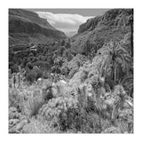 Los Palmitos (Print Only) thumbnail