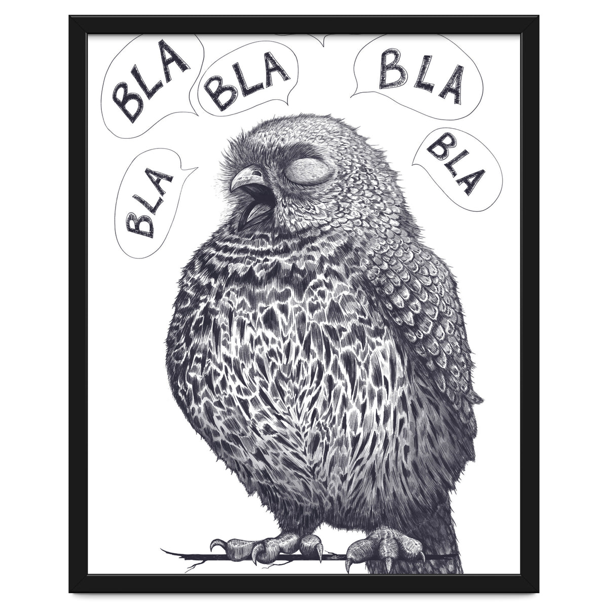 Owl Bla Bla Bla