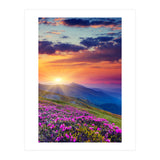 Nature (Print Only) thumbnail