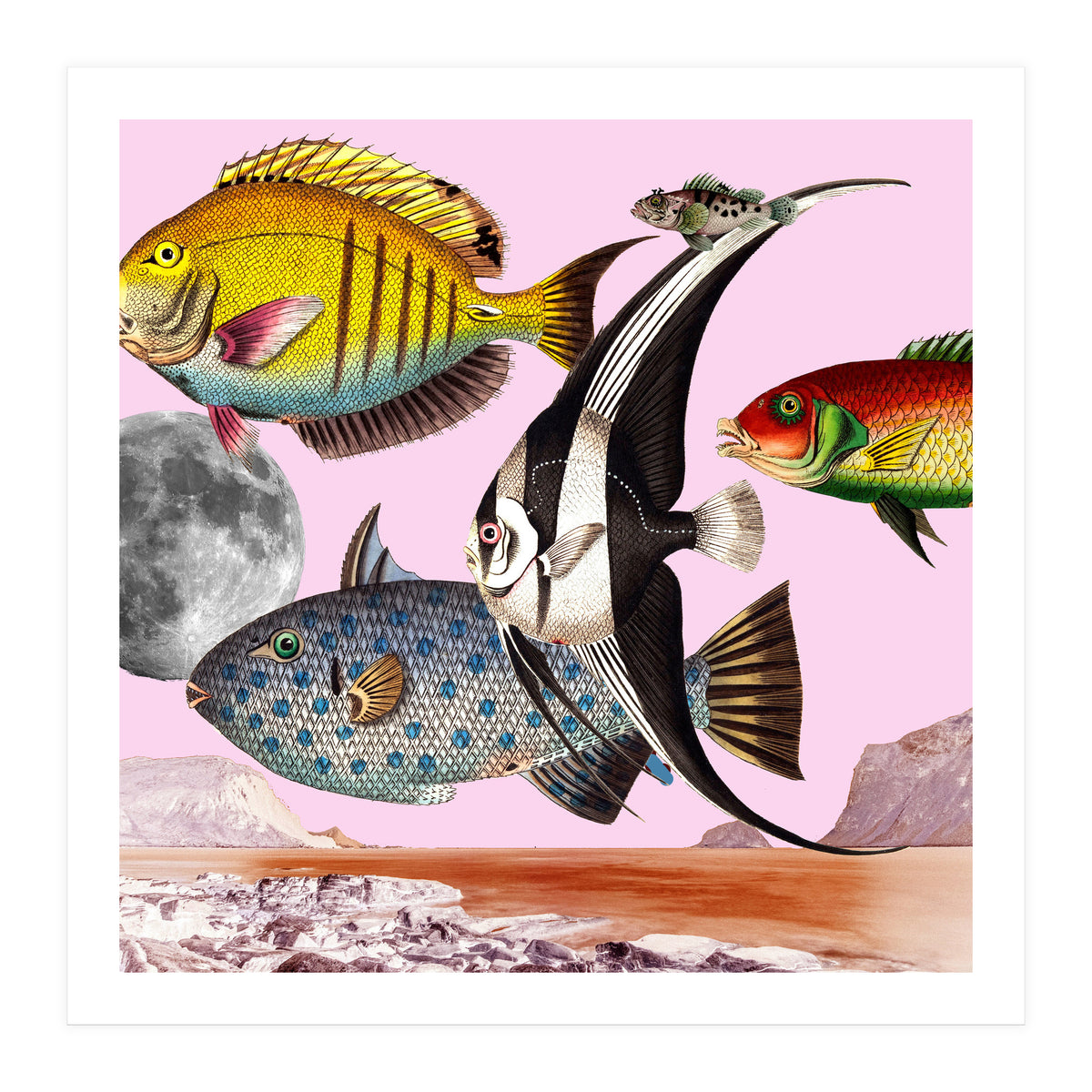 Fish World Pink (Print Only)