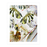 Vintage Tropica (Print Only) thumbnail