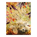 A Life Wild (Print Only) thumbnail