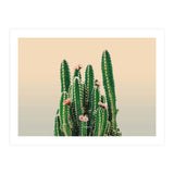 Flowered Cactus (Print Only) thumbnail