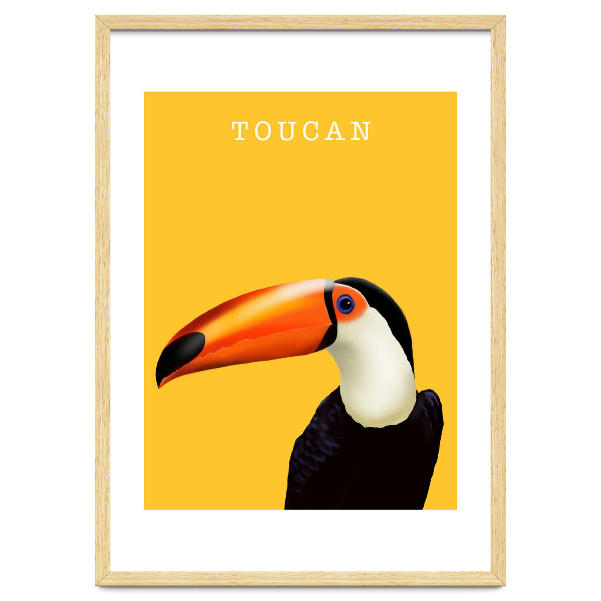 Toucan