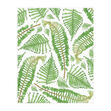 Ferna (Print Only) thumbnail