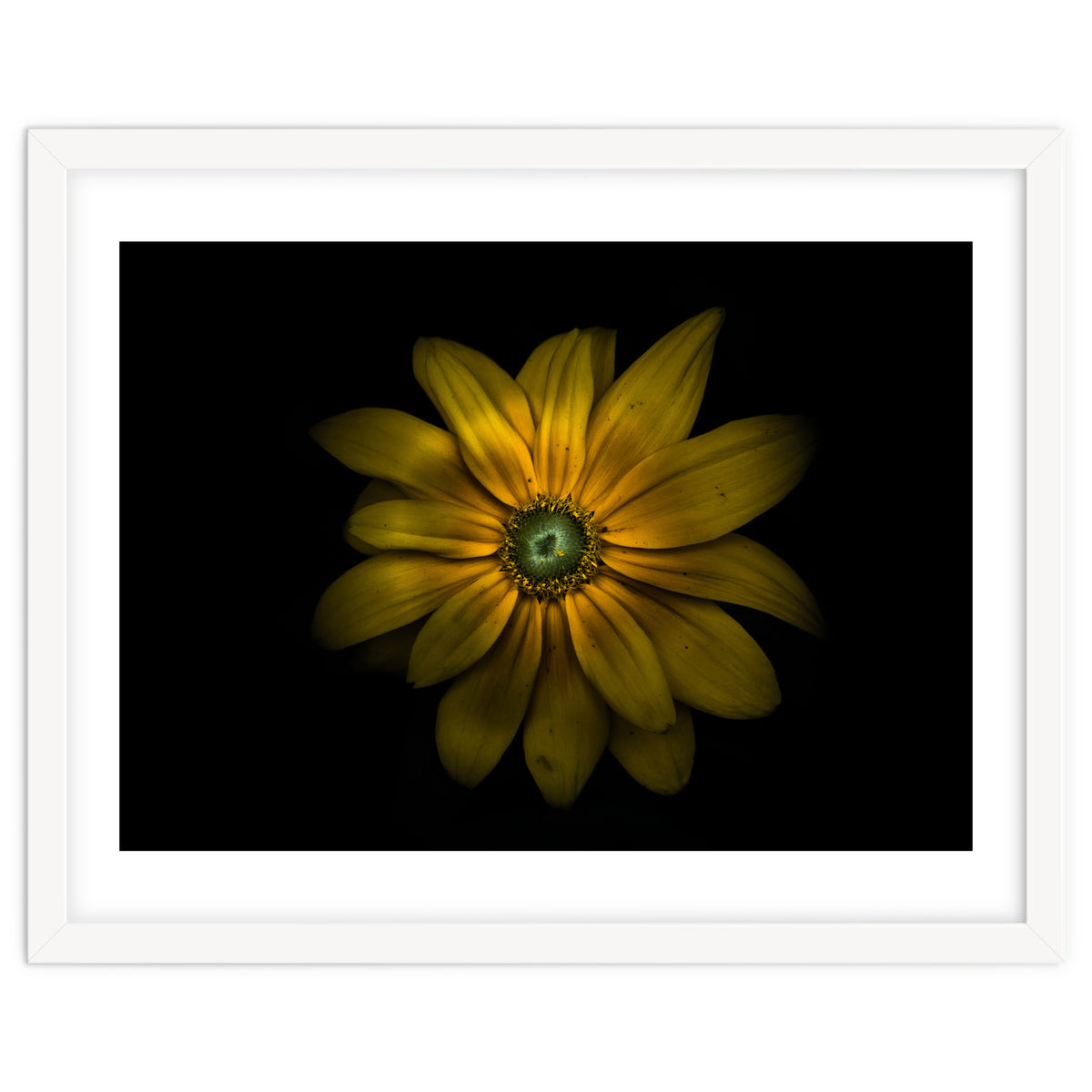 Backyard Flowers No 34 Color Version