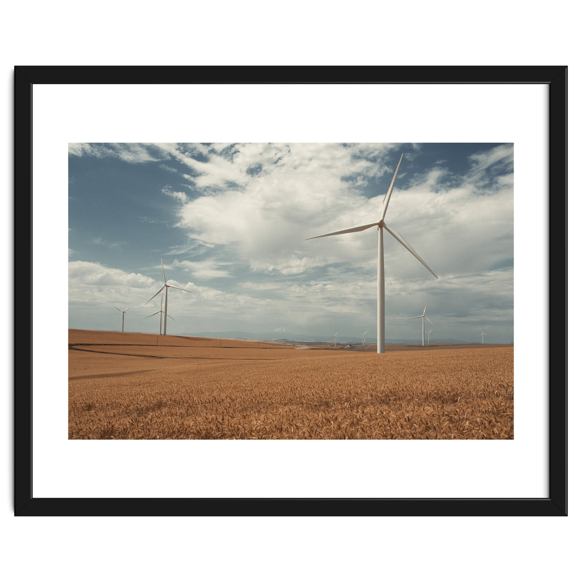 Windmill Farm