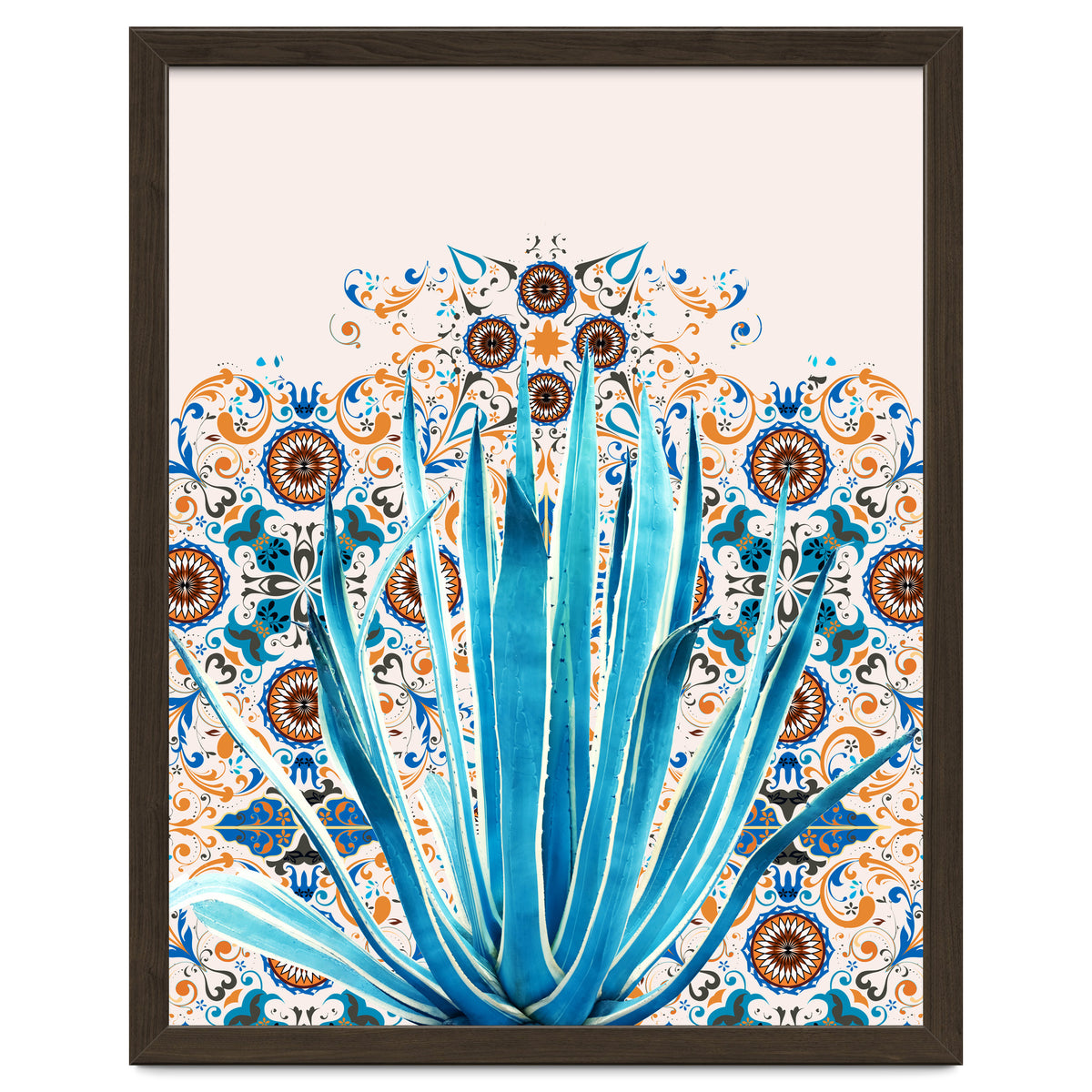 Cactus and Moroccan tiles