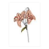 Lily (Print Only) thumbnail