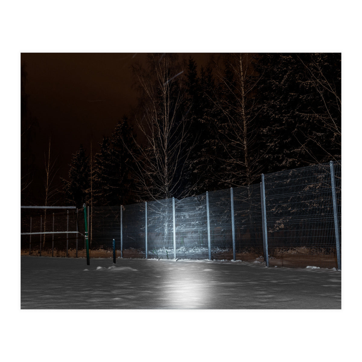 What the Hell did I just See? (Print Only)