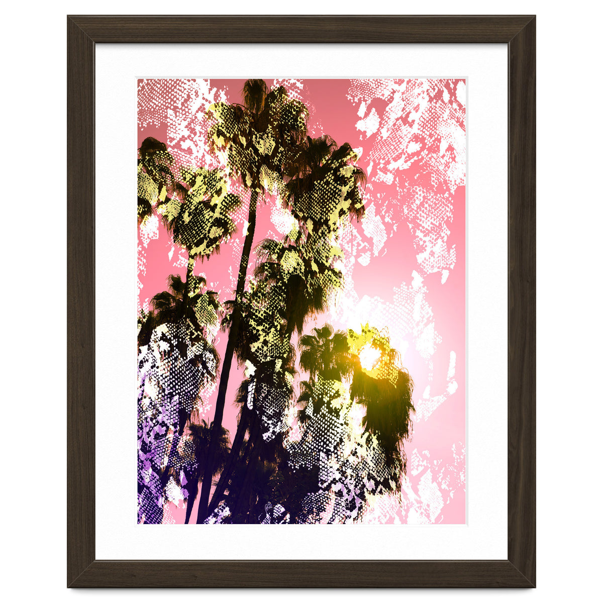 Snake sunset in paradise