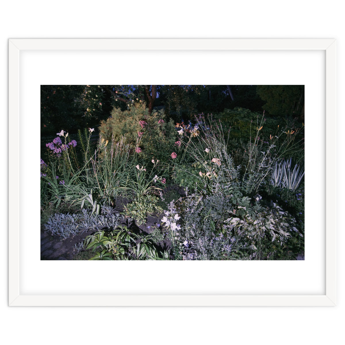 Picture Postcard Perfect