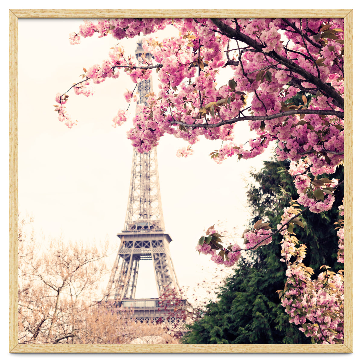 Paris in the Spring